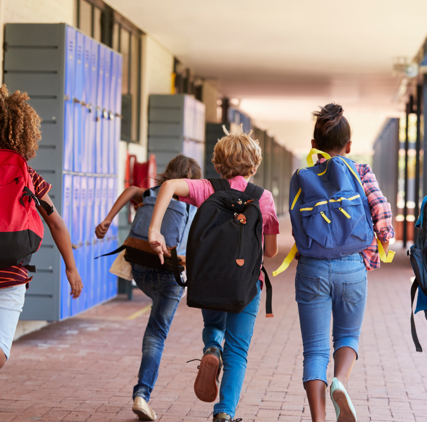 School near the Garden District