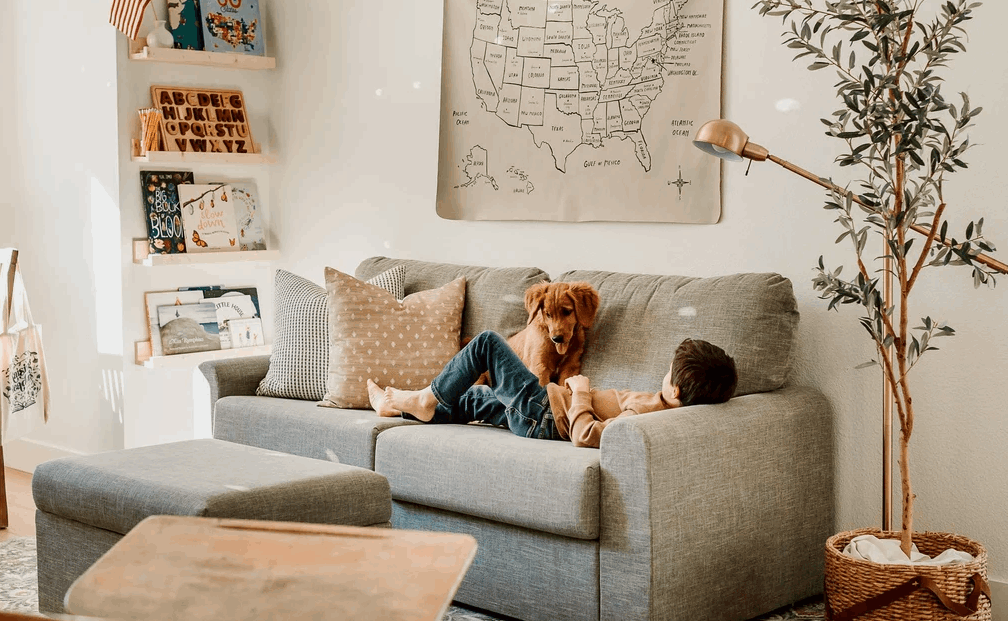 Boy and puppy on a sofa.