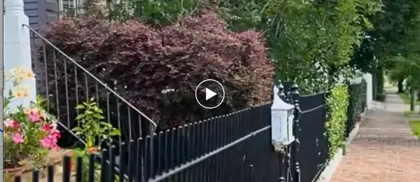 New Video: Black Pearl Neighborhood