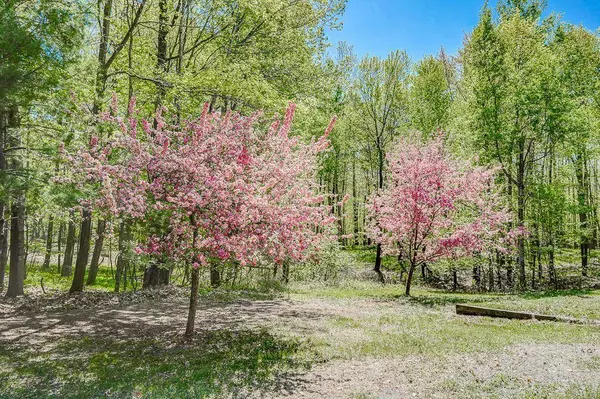 3083 County Road A, Scott Twp, WI 54893