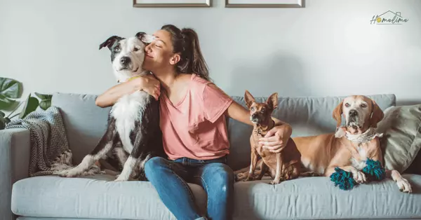 Creating a Fresh-Smelling Home When You Have Pets