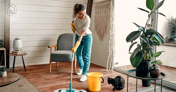 Keep Your Home Tidy with These Daily Habits