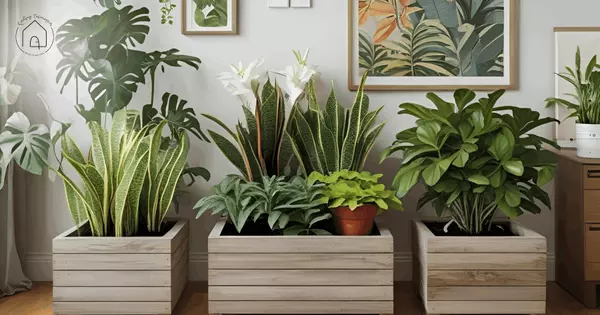 feature image of Indoor DIY Planters You Can Make This Weekend