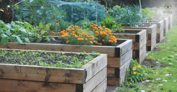 How to Build Your Own Raised Garden Beds