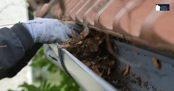 Gutter Cleaning: Why It Matters