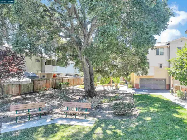 1260 Detroit Ave #4, Concord, CA 94520