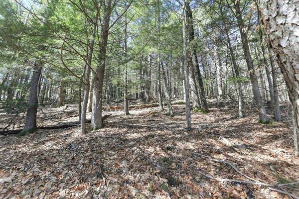 0 N Leverett Rd, Leverett, MA 01054