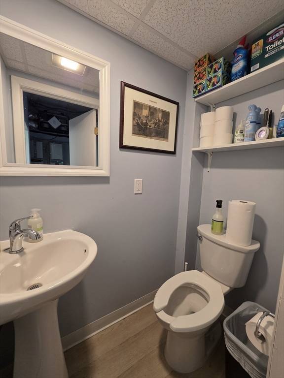 42 Amherst Rd, Sunderland, MA 01375