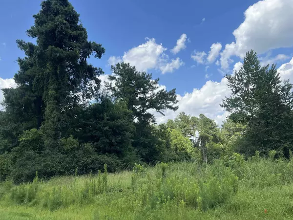 300 Twin Ponds Drive, Havana, FL 32333