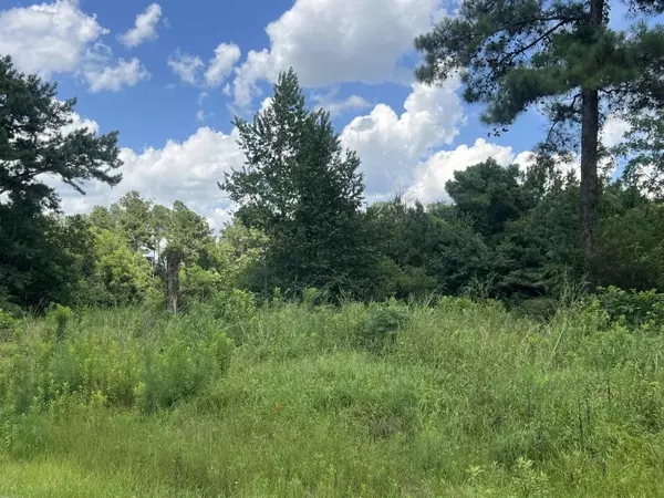 300 Twin Ponds Drive, Havana, FL 32333