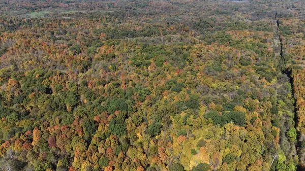 0000 Oxyer, Cheshire, OH 45620