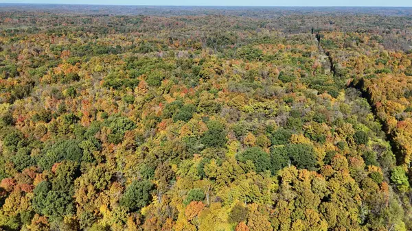 0000 Oxyer, Cheshire, OH 45620