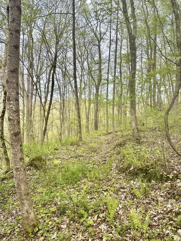 Indian Creek Rd, Reedsville, OH 45772