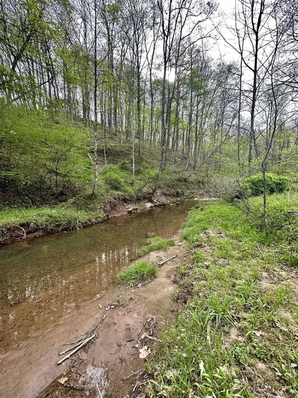 Indian Creek Rd, Reedsville, OH 45772