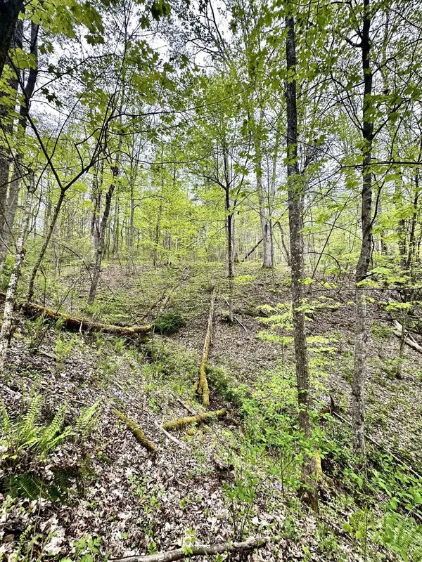 Indian Creek Rd, Reedsville, OH 45772