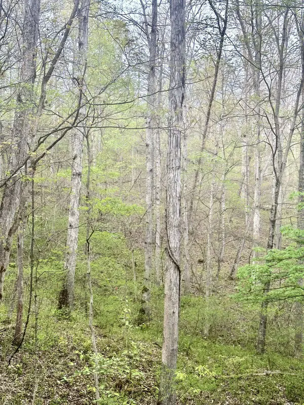 Indian Creek Rd, Reedsville, OH 45772