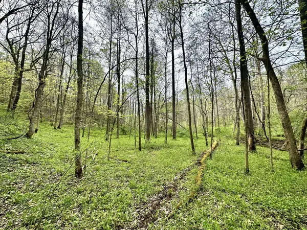 Indian Creek Rd, Reedsville, OH 45772