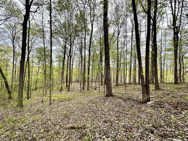 Indian Creek Rd, Reedsville, OH 45772
