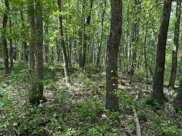 Lot 1 Rowland Rd, Hamden, OH 45634