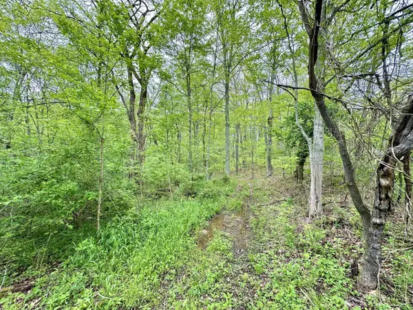 WIlls Hill Road, Pomeroy, OH 45769