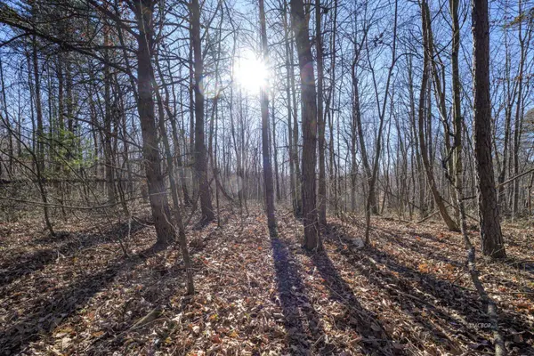 Wright Rd, Patriot, OH 45658