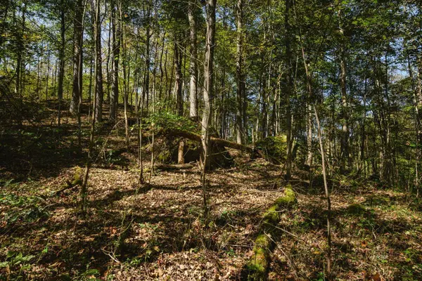 000 Little Kyger, Cheshire, OH 45620