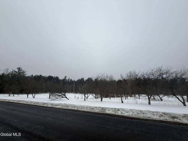 L172 Greens Corner Road, Galway, NY 12074