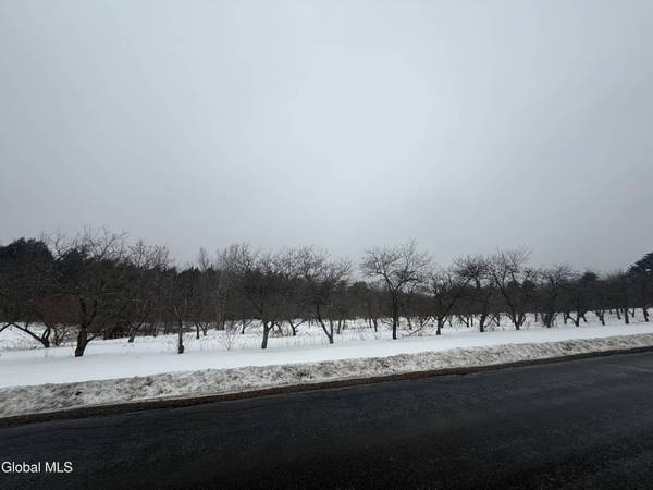 L172 Greens Corner Road, Galway, NY 12074