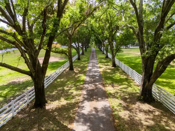 11200 LANE PARK RD, Tavares, FL 32778