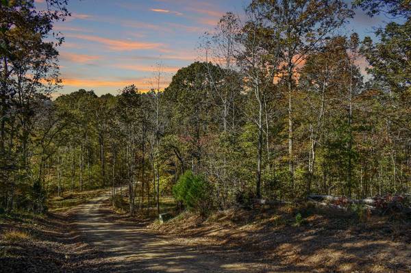 4510 Akin Road, Cunningham, TN 37052