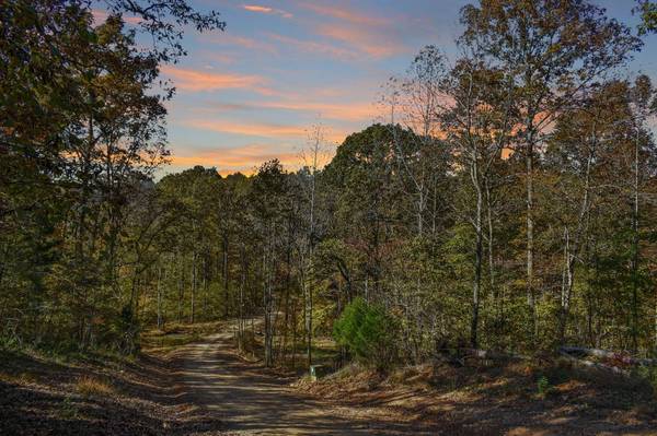 4510 Akin Road, Cunningham, TN 37052