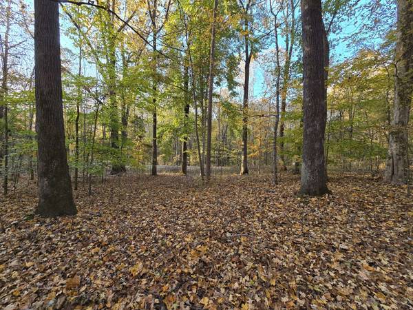 14 Rockcastle Shores, Cadiz, KY 42211