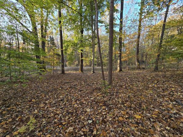 14 Rockcastle Shores, Cadiz, KY 42211