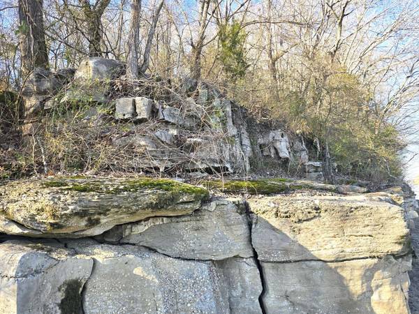 2800 Jarman Hollow Rd, Palmyra, TN 37142