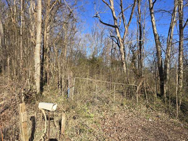 2800 Jarman Hollow Rd, Palmyra, TN 37142