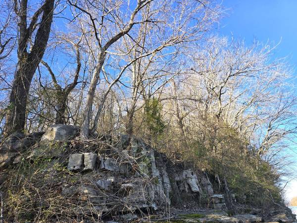 2800 Jarman Hollow Rd, Palmyra, TN 37142