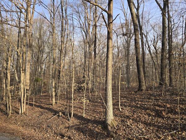 33 Rockcastle Shores, Cadiz, KY 42211