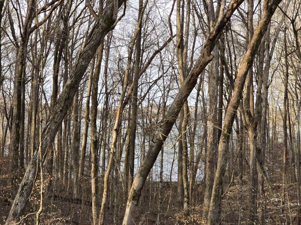 33 Rockcastle Shores, Cadiz, KY 42211