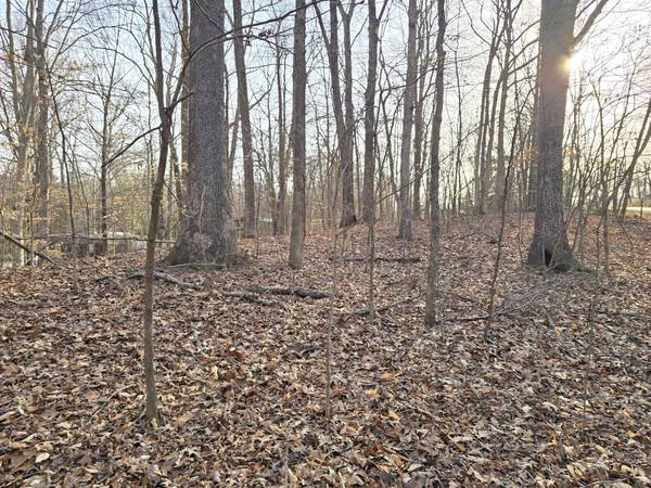 33 Rockcastle Shores, Cadiz, KY 42211