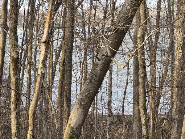 33 Rockcastle Shores, Cadiz, KY 42211