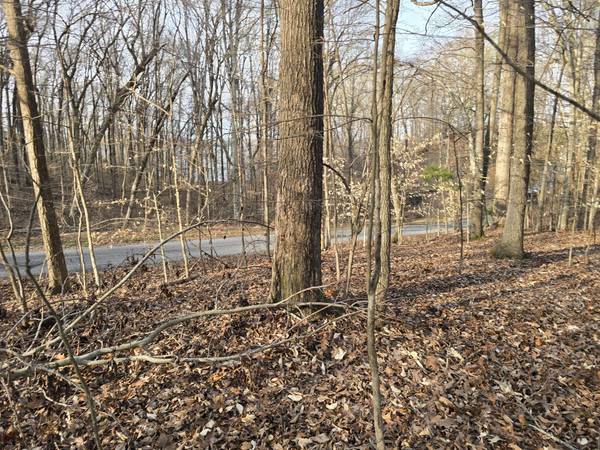 33 Rockcastle Shores, Cadiz, KY 42211