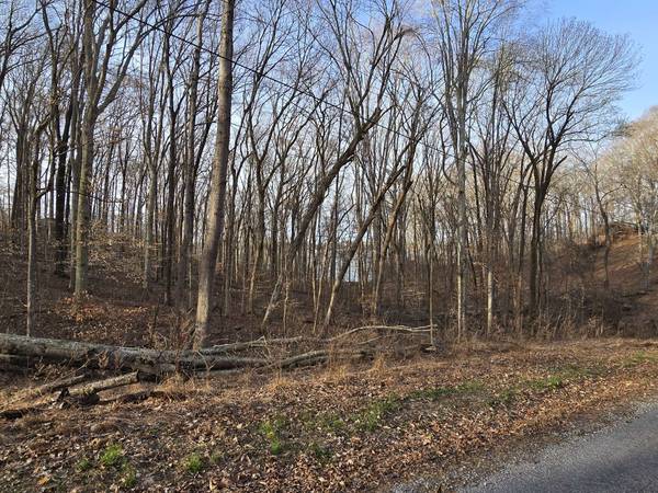 33 Rockcastle Shores, Cadiz, KY 42211