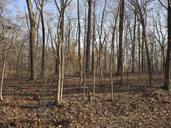 33 Rockcastle Shores, Cadiz, KY 42211