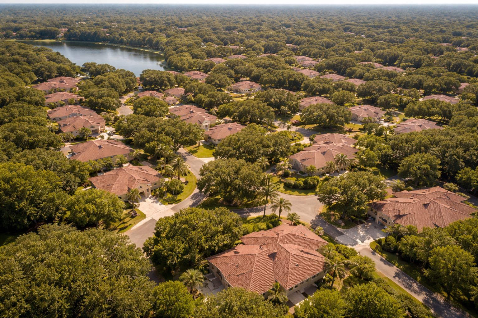 Tree-lined residential street in Dr. Phillips neighborhood near Orlando, Florida