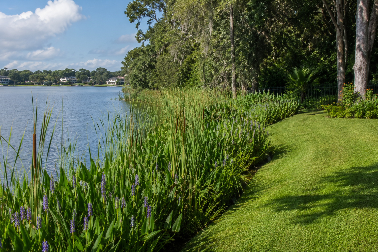 Orange County Florida lakefront vegetation buffer zone along Butler Chain shoreline