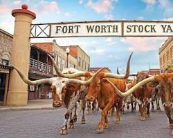 Fort Worth Homes For Sale