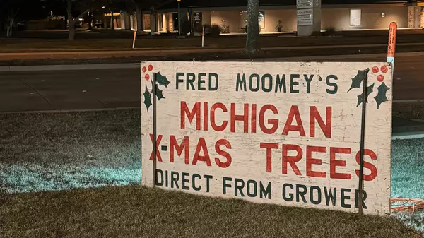 Best Real Christmas Tree Farms Near Fort Worth