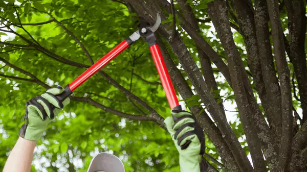 Fall Home Checklist for Fort Worth Homeowners