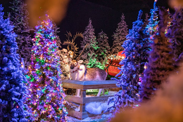 Dallas Holiday Light Displays