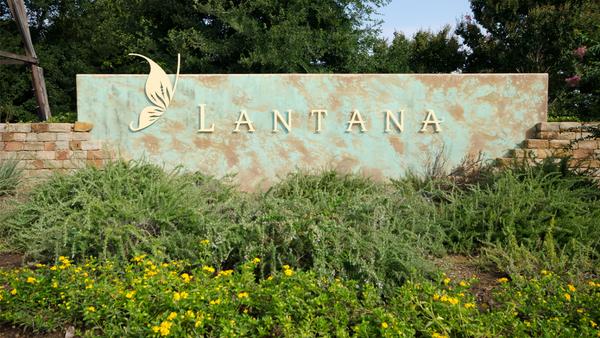 Lantana, TX: The Complete Buyer's Guide — Community Life, Schools & the HOA Fee Charged at Closing